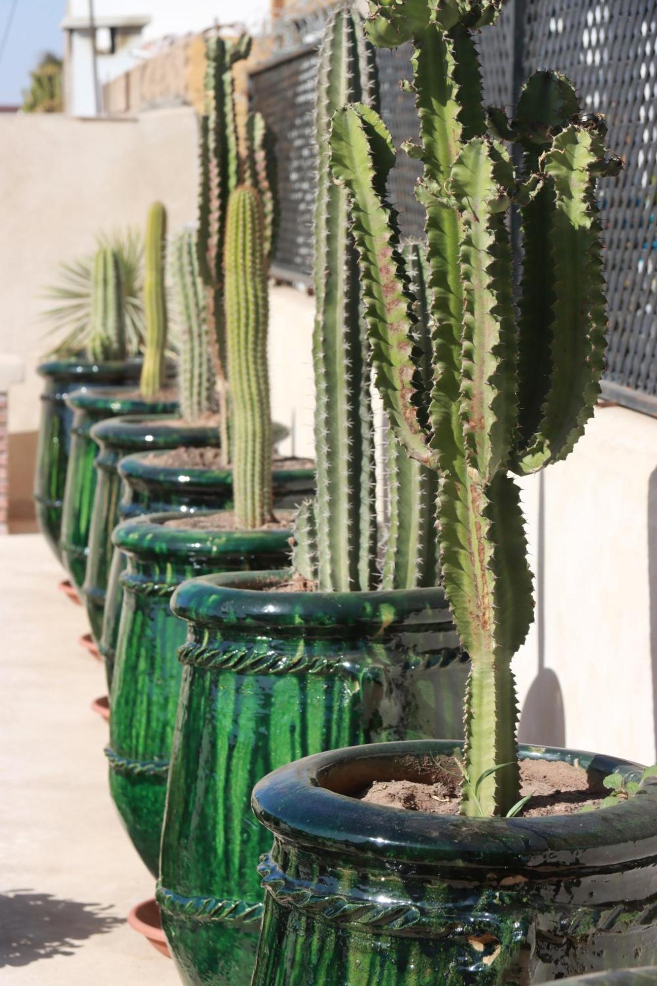 Riad Valentine Marrakesh Exterior foto